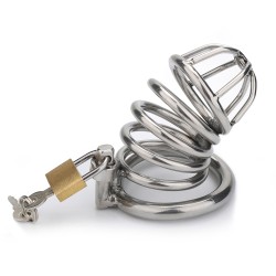 male chastity bird cage